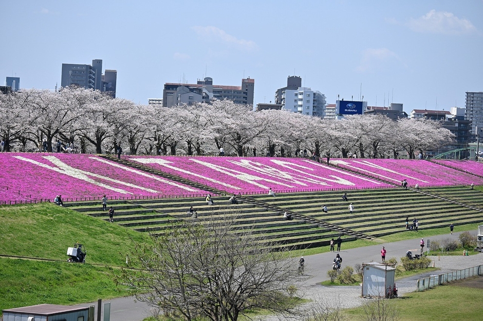 新荒川大橋からの景観(4月3日撮影)