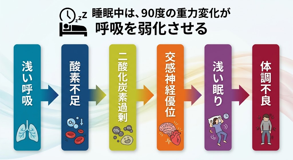 ウレタン寝具が胸郭上部を固定し、呼吸深度を弱める──密着構造の睡眠の質を低下させる新しい弱点