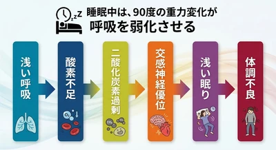 ウレタン寝具が胸郭上部を固定し、呼吸深度を弱める──密着構造の睡眠の質を低下させる新しい弱点