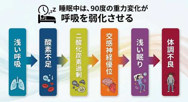 ウレタン寝具が胸郭上部を固定し、呼吸深度を弱める──密着構造の睡眠の質を低下させる新しい弱点