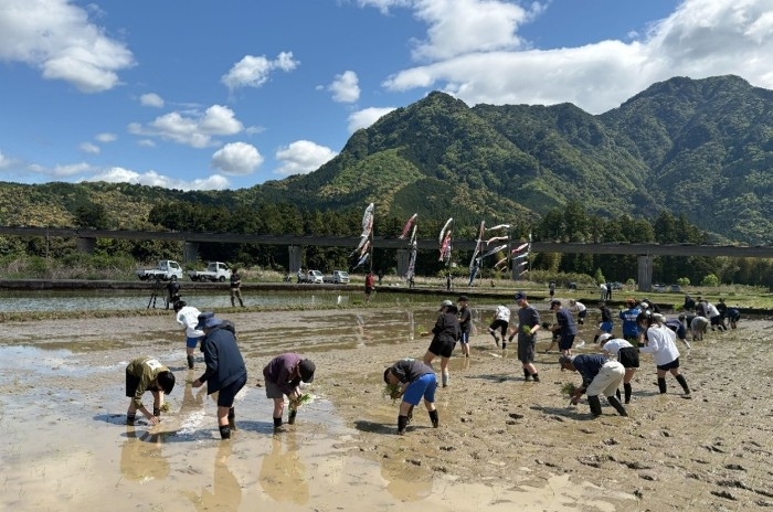 令和7年（2025年）に実施した田植え体験の様子