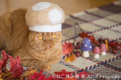 展示作品9