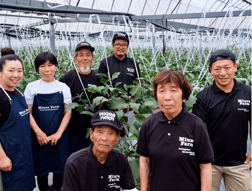 水なす農家「三浦農園」