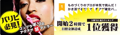 開始2時間で目標金額達成