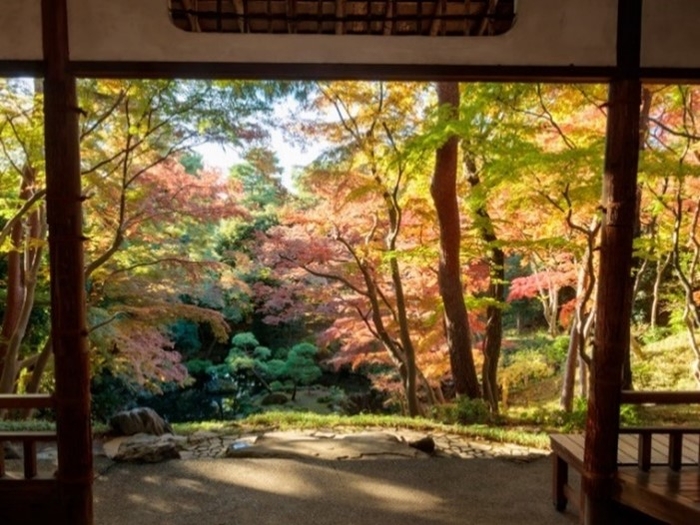 過去の紅葉の様子（紅葉亭から）