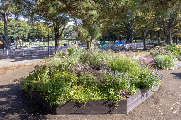 Aガーデンの様子（11月）