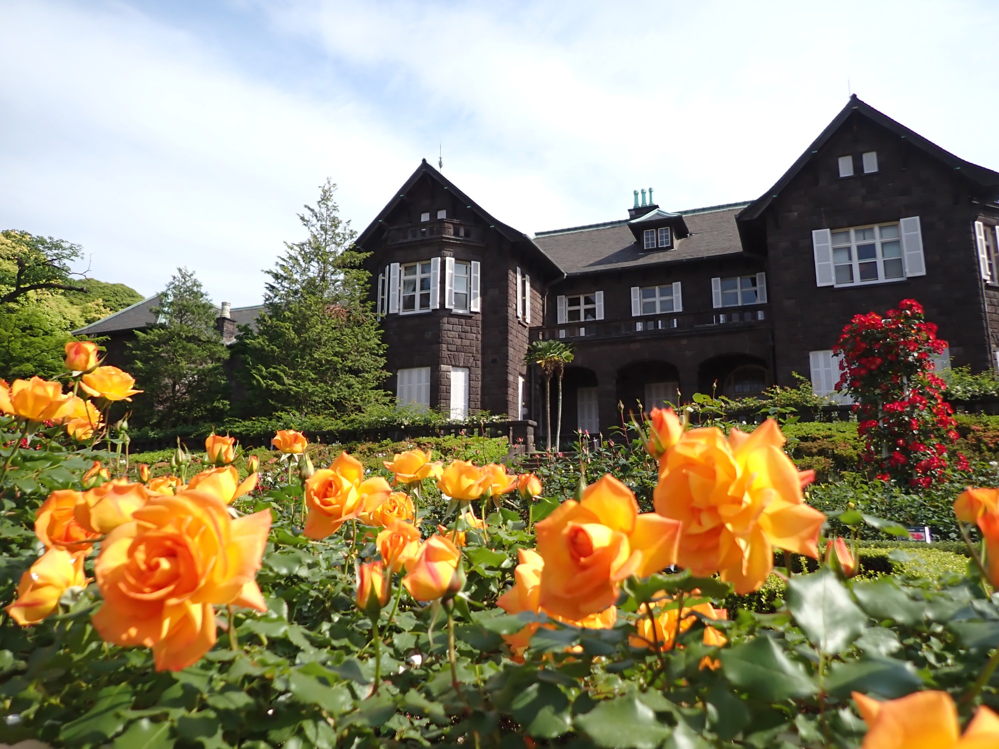 ＜事前案内＞旧古河庭園「2026春のバラフェスティバル」開催