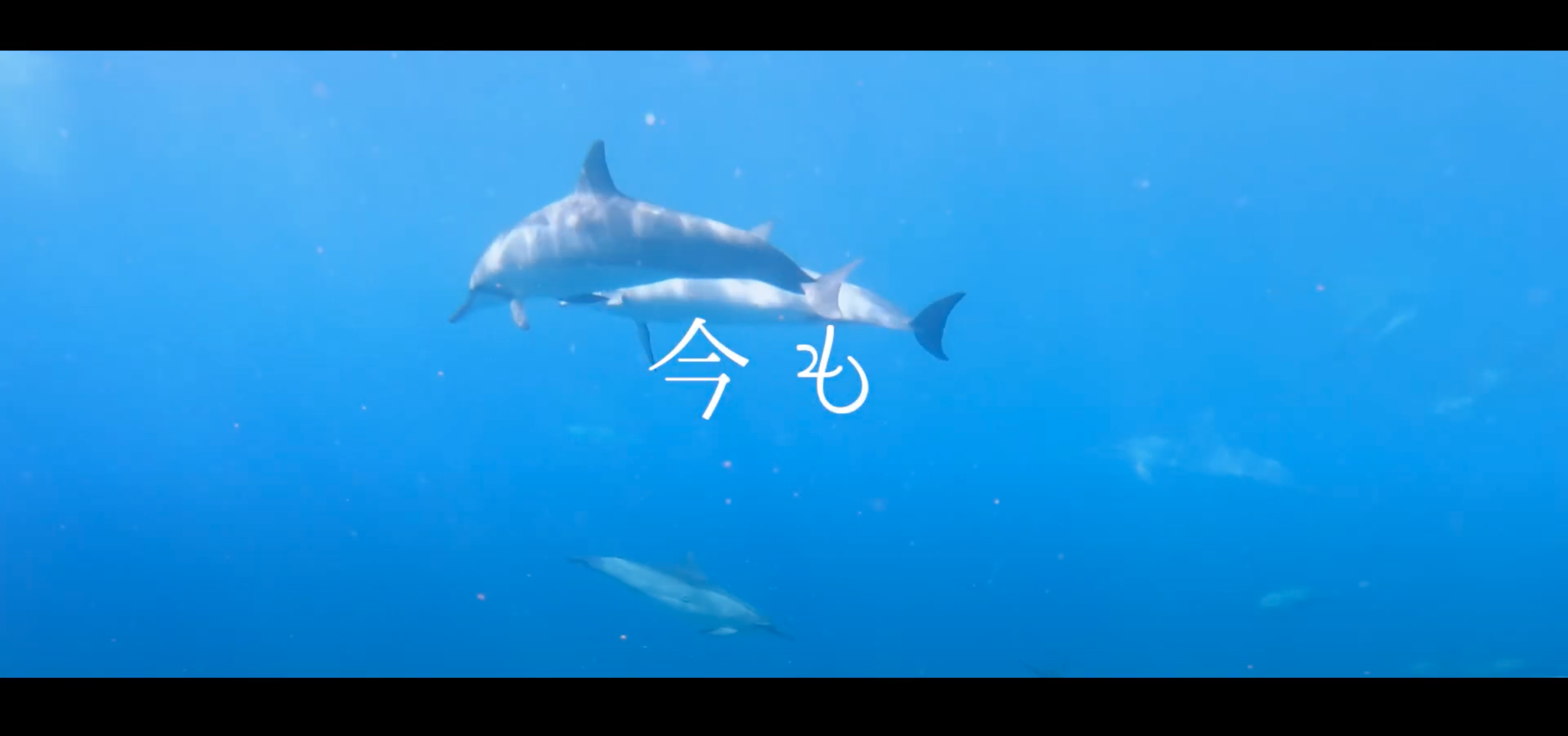 今を必死に生きる、すべての人のために作られた【アートコラボ作品】