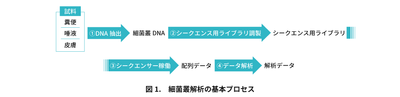 腸内細菌叢サービス画像 図1