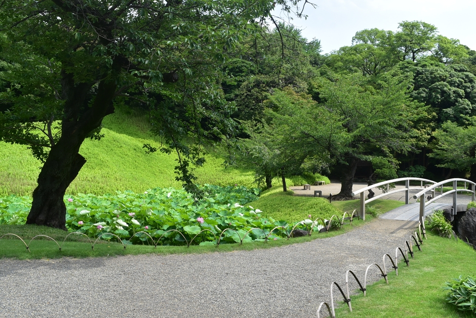 夏の園内の様子