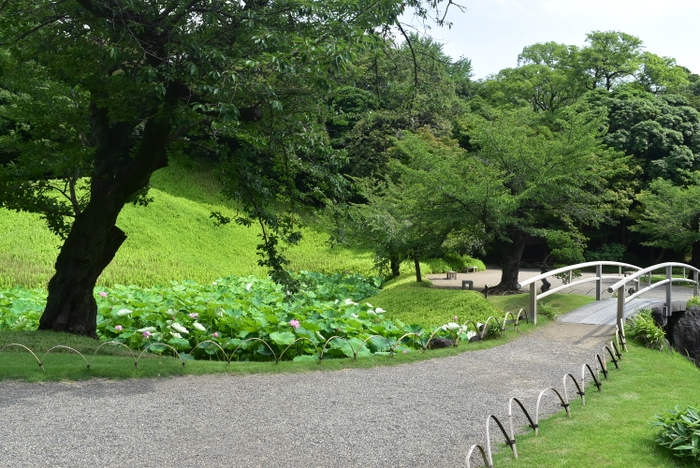 夏の園内の様子