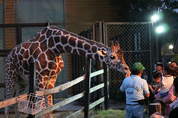 夜の動物園