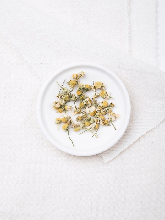 カモミールハーブ皿