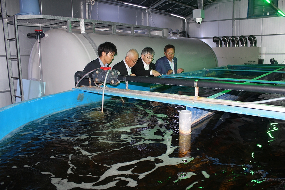 養殖場の22トン水槽を見学する平野学長（右から２人目）、山本准教授（右端）ら