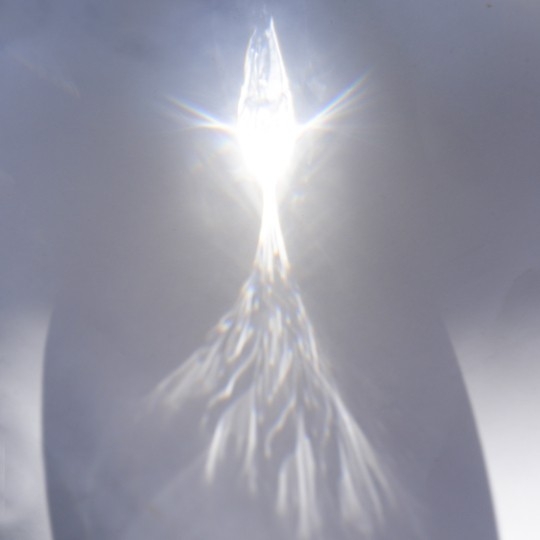 タカコノエル / 写真家・ヴィジュアルアーティスト