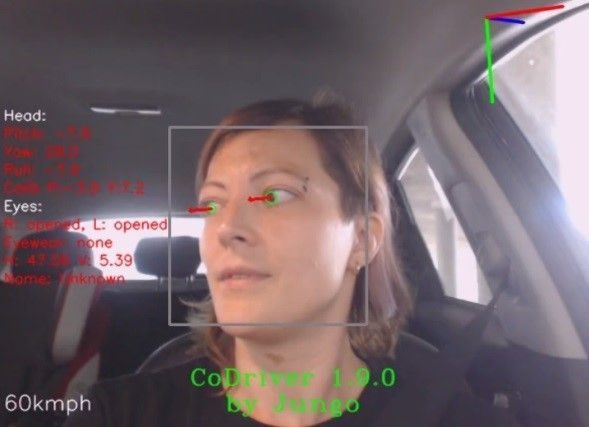 CoDriver検出イメージ_1