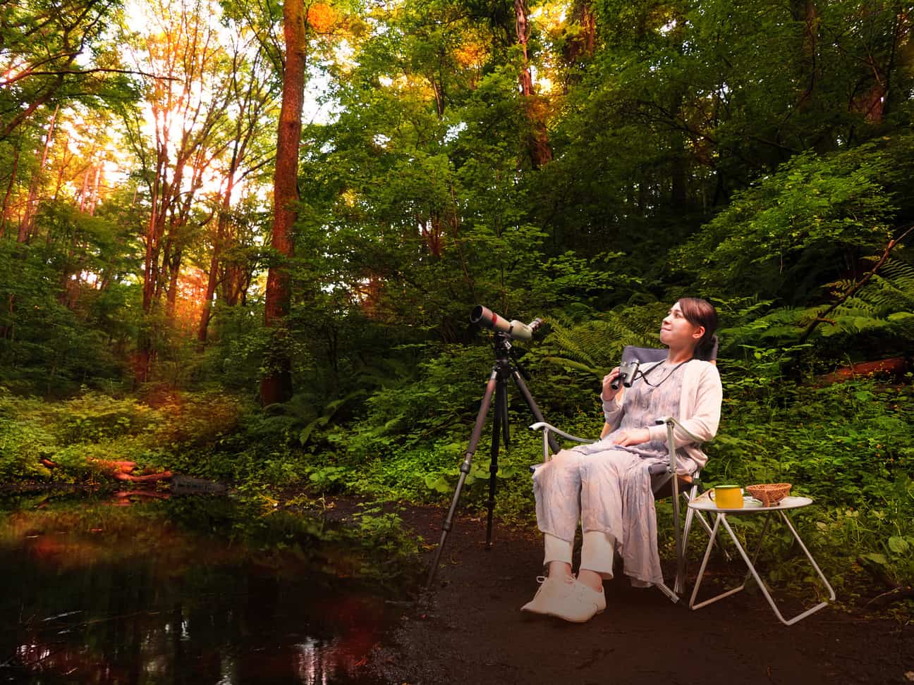 【ピッキオ】~野鳥の宝庫・軽井沢野鳥の森で、くつろぎの時間を過ごす~夕暮れ時に野鳥の歌と姿を堪能するツアー「春の森さえずりコンサート」を開催|実施日:2023年5月1日~31日