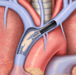 ブランド認定の世界市場調査レポート:競合分析、予測2026-2032