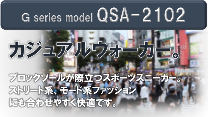 QSA-2102-1