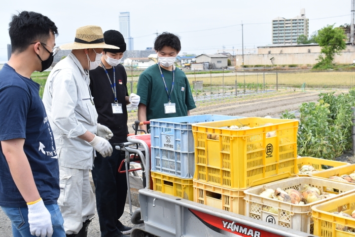 田尻町での収穫体験