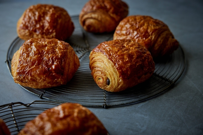 bQGMO4TluJfUFkyTry6u