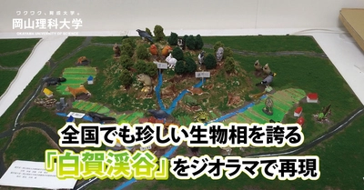 【岡山理科大学】全国でも珍しい生物相を誇る「白賀渓谷」をジオラマで再現