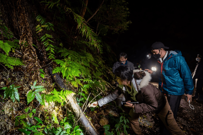 +7,000円/林道パトロール