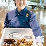 今日のおまかせ お試しセット 5千円 イメージ