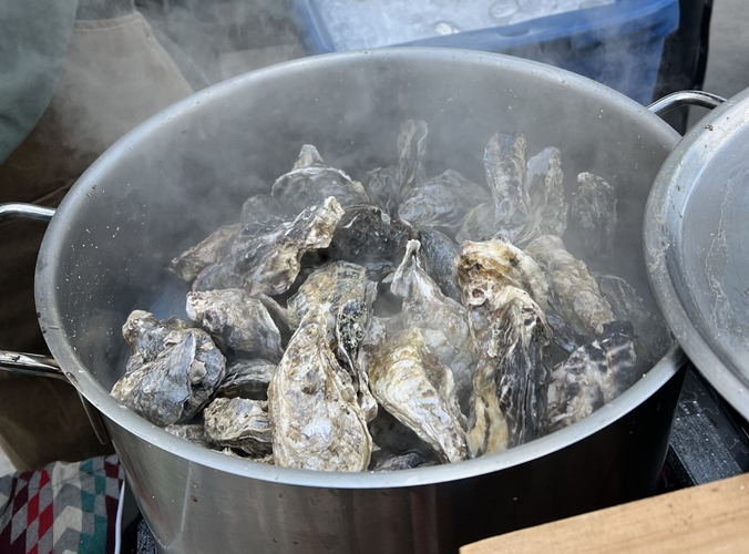 高温の蒸気で一気に蒸し上げる牡蠣の「ガンガン焼き」