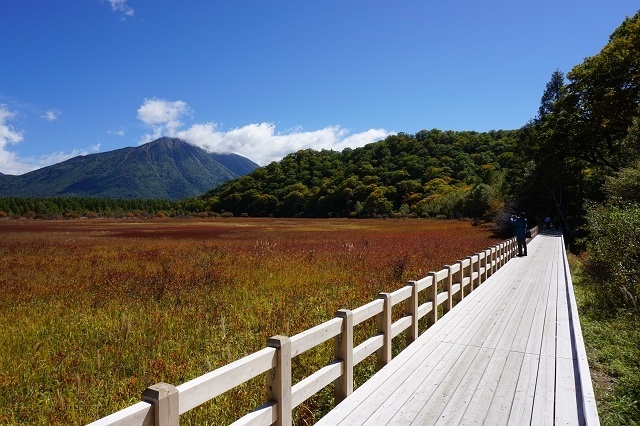 小田代ヶ原(初秋)