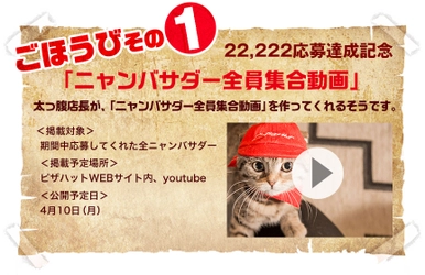 みなさんの猫の写真が渋谷に！ ピザハットが「ピザキャット！店」キャンペーン応募者の 写真を渋谷駅構内に展示！ 