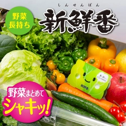 ［冷蔵庫の野菜室に置くだけで野菜がシャキッ！］野菜を新鮮に保つエステー「新鮮番」を500名に無料でお届け！