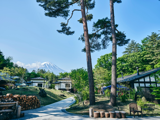 緑から富士山が望める自然あふれる贅沢空間