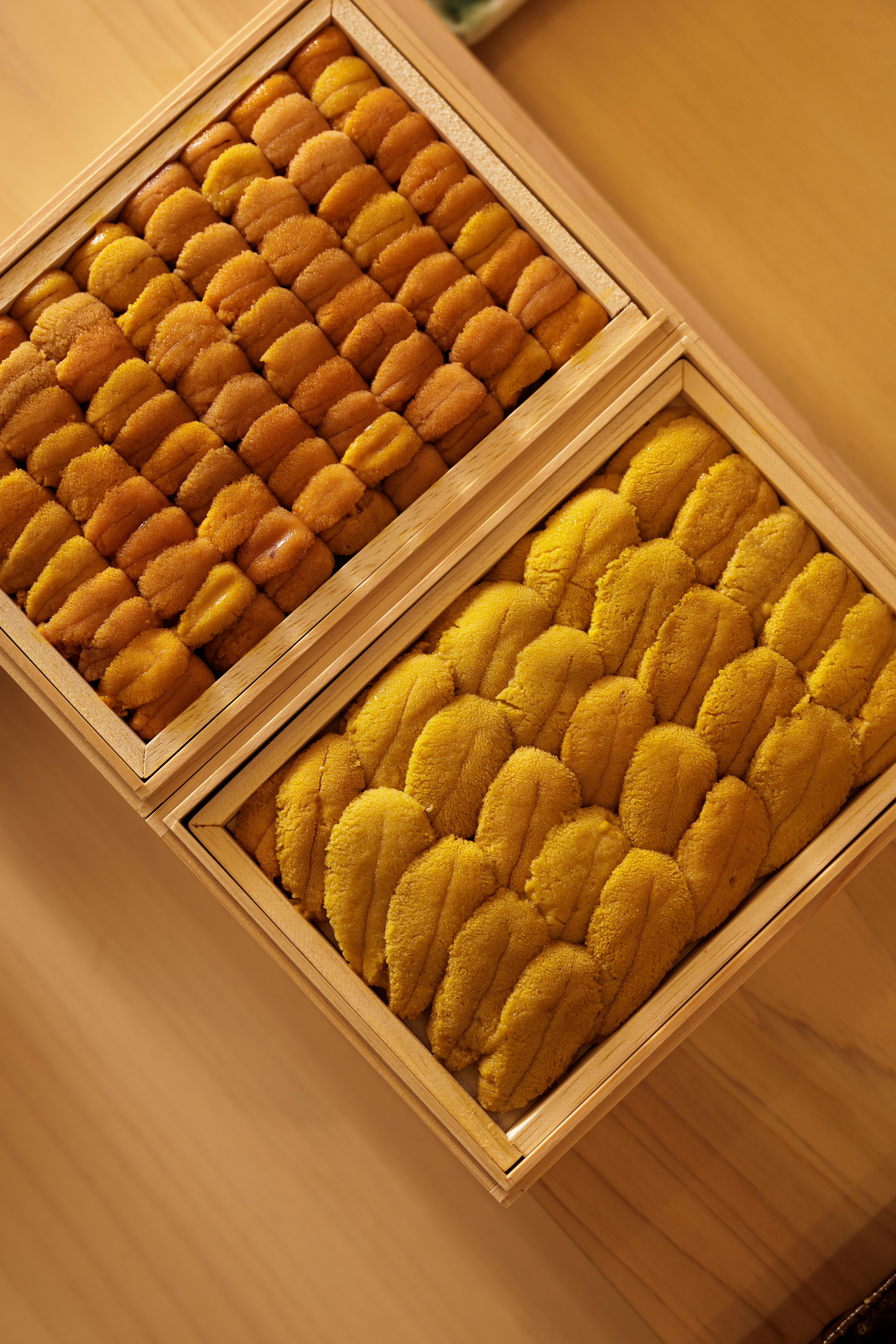 鮨 おりがみ「むらさきうに」「ばふんうに」