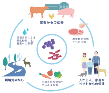 「ワンヘルス」アプローチ