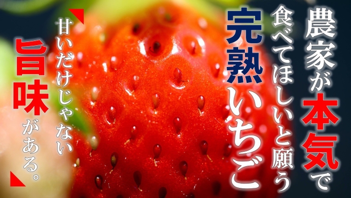 クラウドファンディング公開ページ