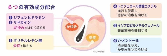 6つの有効成分配合