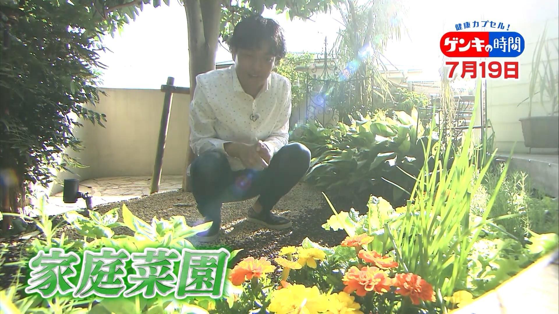 抗酸化力2倍のミニトマト!?家庭菜園の知られざる健康効果に迫る!7月19日(日)あさ7:00放送『健康カプセル!ゲンキの時間』