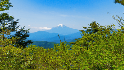 『三頭山』山頂から眺める冨士山