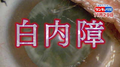 色の違い分かりますか？６０歳以上の8割が発症！？『白内障』を詳しく学びます！長年の悩みがわずか20分…最新治療の白内障手術にも密着！11月29日(日)あさ7:00放送『健康カプセル！ゲンキの時間』