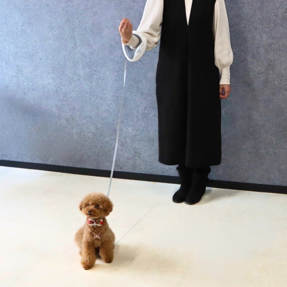 「腕が通せる伸縮リールリード」は散歩中、ハンズフリーになって便利。