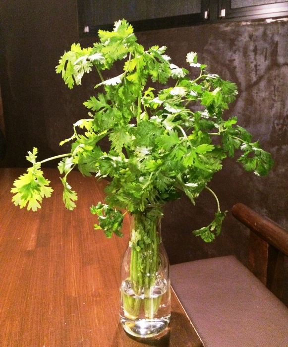 ¥500でおかわり自由!