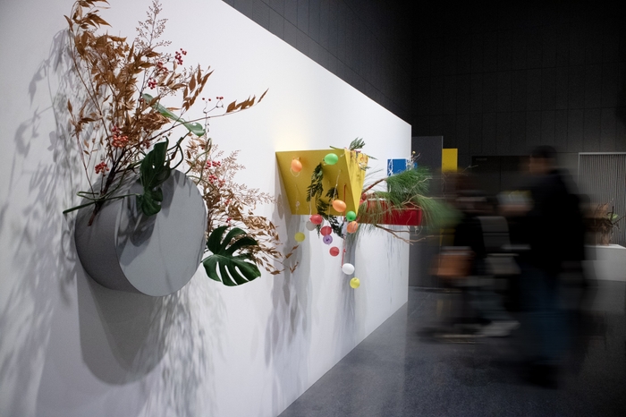 突起を取り掛かりに(2024)