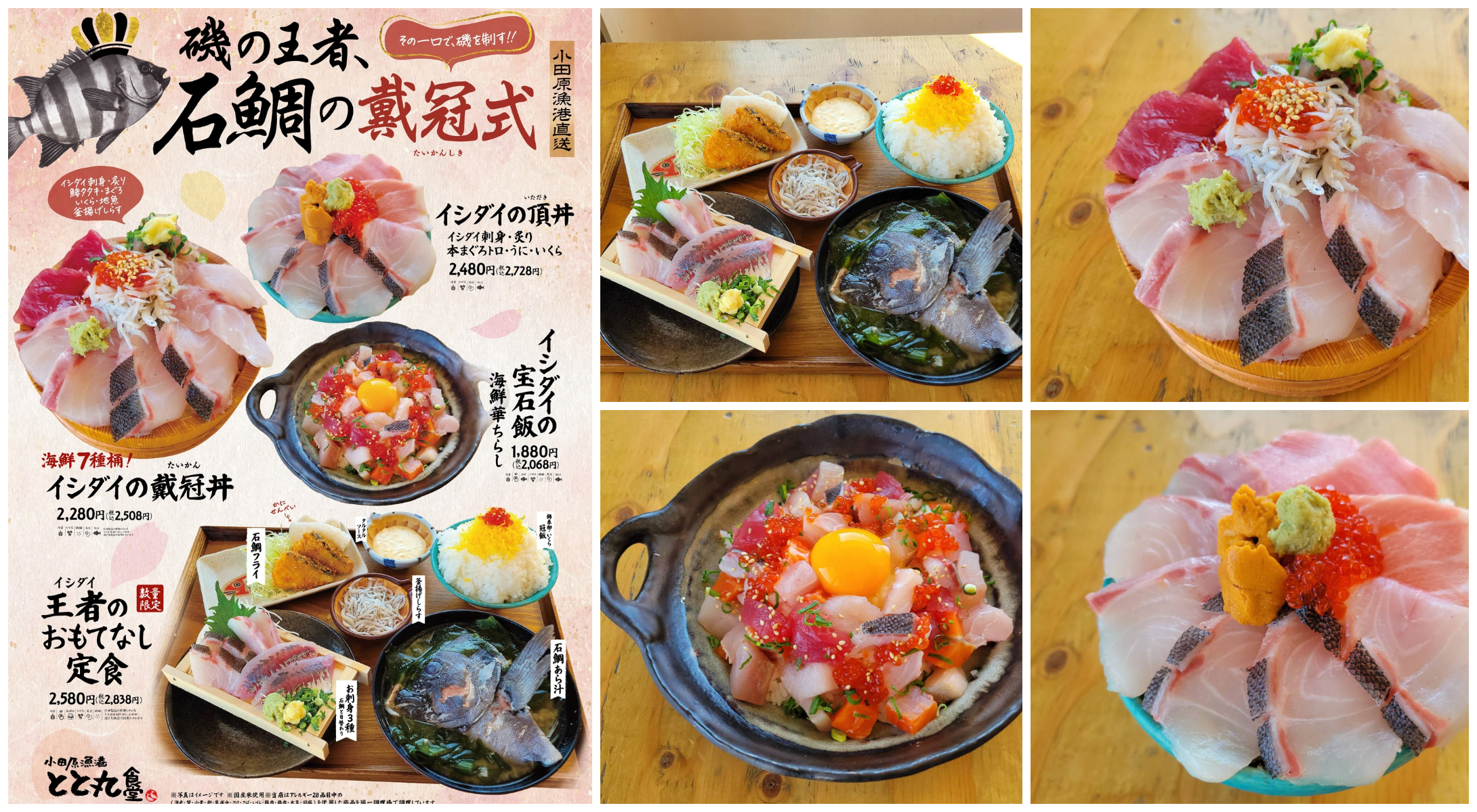 旬の石鯛を堪能できるフェアをTOTOCO小田原にて開催