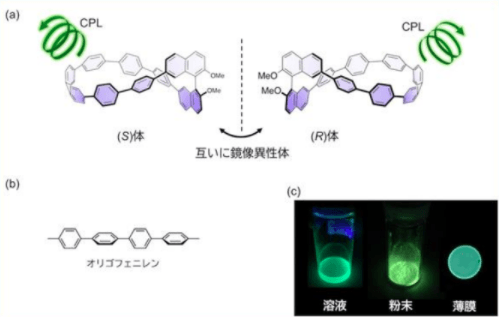 （図1）(a)開発した分子の構造、(左: (S)-体、右: (R)-体、らせん状の矢印は円偏光発光を表す)　(b)オリゴフェニレンの構造と、それをねじった構造及び輪にした構造