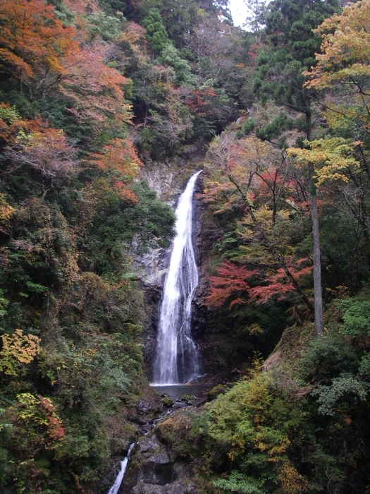 迫力ある滝と紅葉