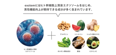 成分