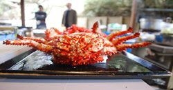 六甲「野宴」サミット 過去開催時の様子