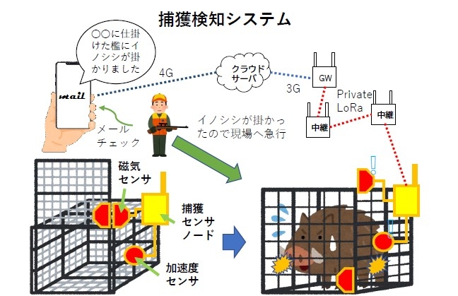 システムの概要