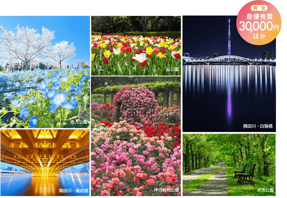 過去の入賞作品および、施設紹介写真